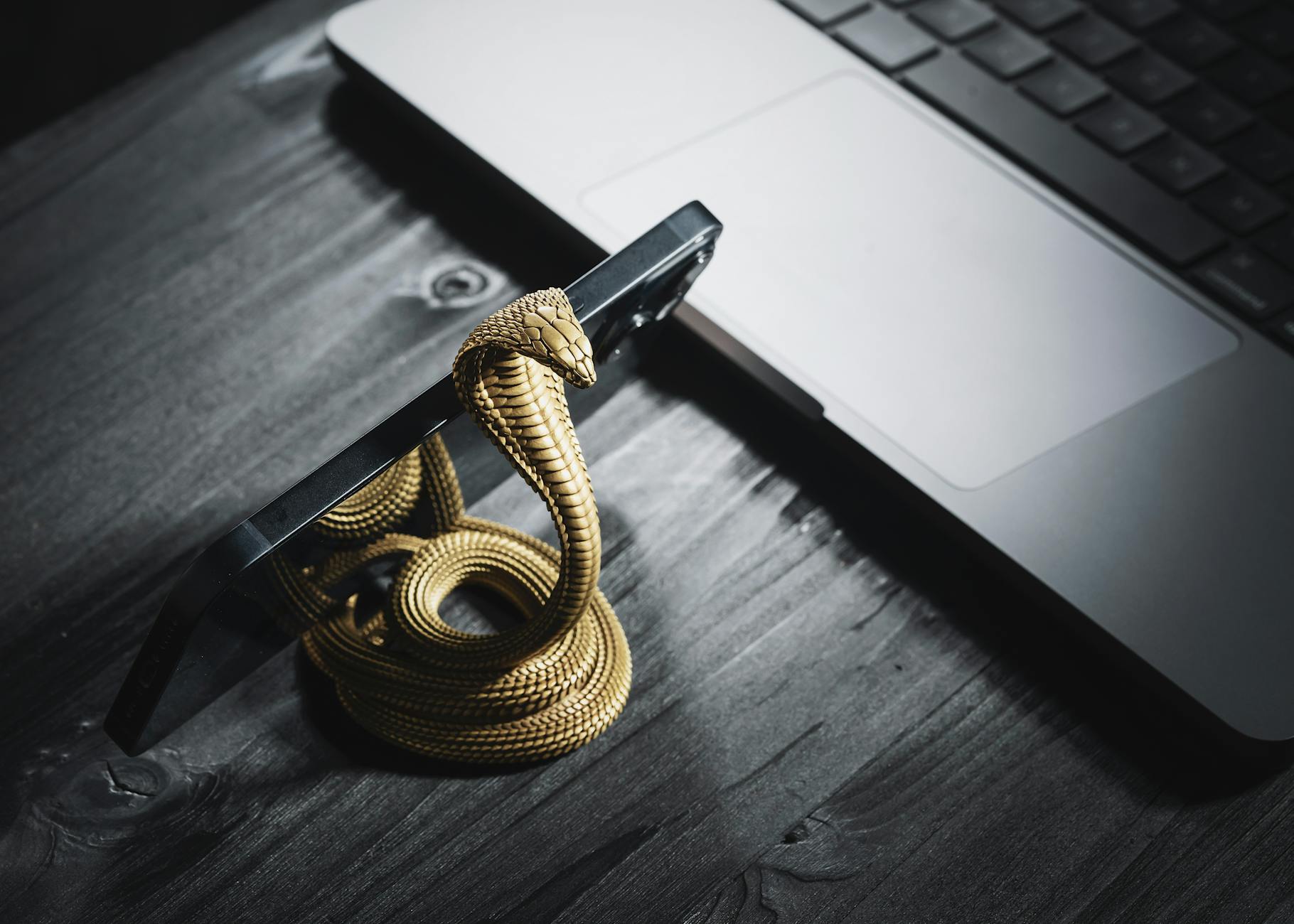 Hot Right Now: Trending 3D Printed Products