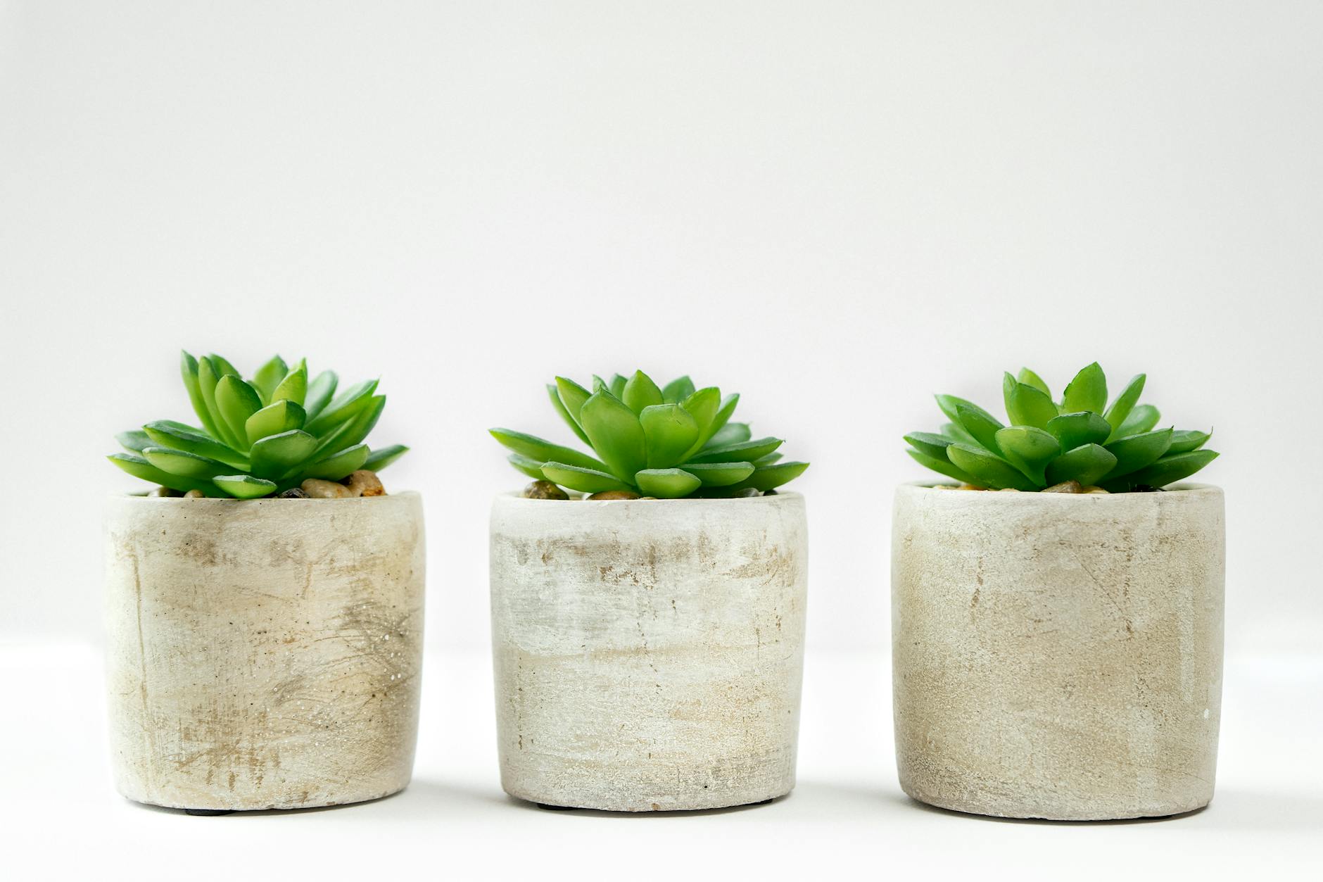 Designing and Producing High-Quality 3D Printed Planters